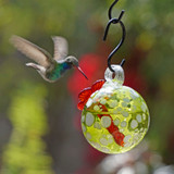 Droplet Hummingbird Feeder