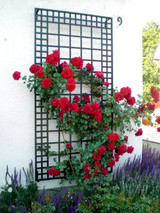 Poundbury Wide Wall Trellis from Classic Garden Elements