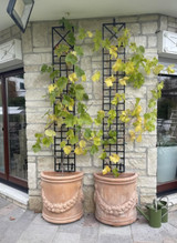 Set of 2 Narrow Wall Trellises mounted in planters along a wall