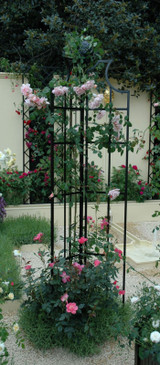 Obelisk II Rose Pillar - rose trellis