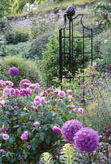 Obelisk II Rose Pillar