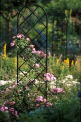 Beekman Steel Garden Trellis