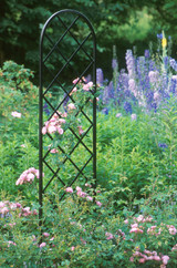 Beekman Steel Garden Trellis