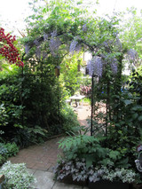 Vine Arch with Lattice