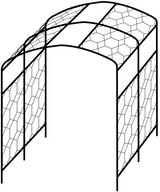 Vine Arch Line Drawing