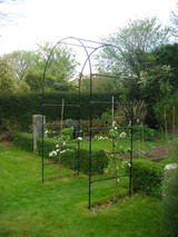 Fruit Tree Garden Arch