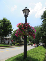 25" Lamppost Hayrack on street 
