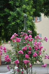 Obelisk I in custom color