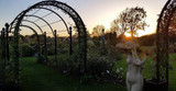 St Albans Steel Pergola