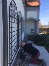 R9-5 Wall trellis combined with R9-4