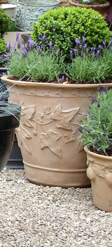 Ivy Planter Pot