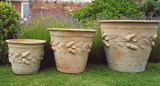 Oakleaf fiberglass planters with terracotta finish