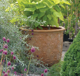 Fiberglass pineapple planter