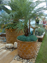 Pineapple Planter