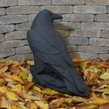 Large Raven Statue in black finish back side view