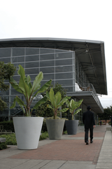 34" Madison Planters along walkway