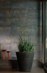 Madison planter by Crescent