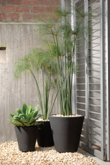 Grouping of Madison planters