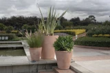 Madison planters by Crescent Garden weathered terracotta finish