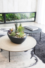 Delano Oval Bowl planted with succulents