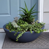 Delano Oval Bowl planted with succulents
