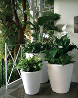 Dot TruDrop Self-Watering Planters by Crescent Garden