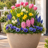 How to Plant Spring Bulbs in Containers | Layering Tips