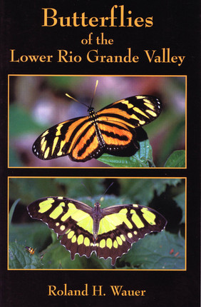 Learn about the butterflies of the Lower Rio Grande Valley