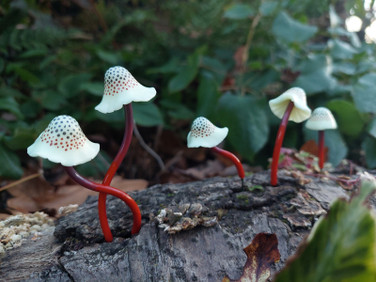 Spotted Polymer Mushrooms set of 5 in amber and creme