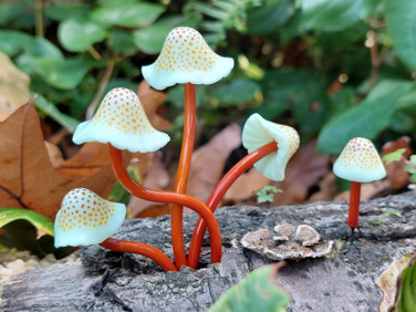 Spotted Polymer Mushrooms - set of 5 in a rust and creme color