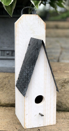 Boston Bird House with white wash
