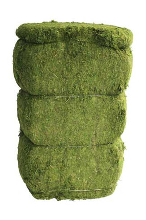 Bale of Green Sphagnum Moss