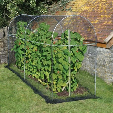 Long Domed Fruit Cage 10' L x 3' W x 5' H 