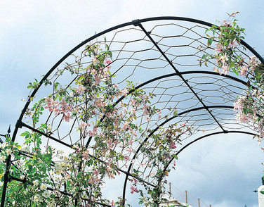 Lattice Infill for Agriframes structures