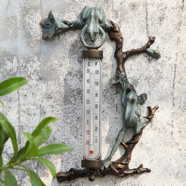 Frog Wall Mounted Thermometer