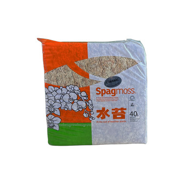 Besgrow NZ Sphagnum Moss 4" Strand Classic 500 Gram