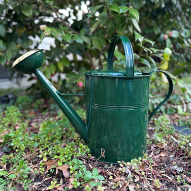 2.6 Gallon Galvanized Watering Can Green