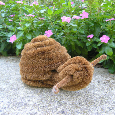 Coir Snail Boot Brush