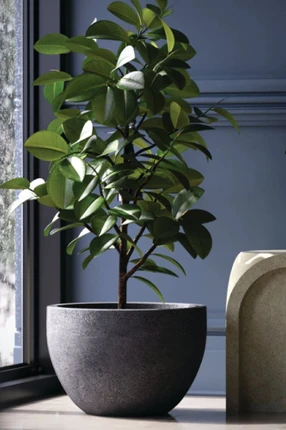 Diana fiberstone bowl planter in anthracite