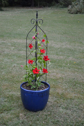 Small Pot Trellis