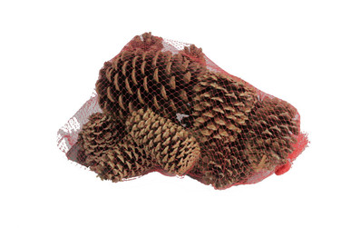 decorative pinecones