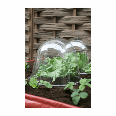 Victorian Bell Cloches 2 pack