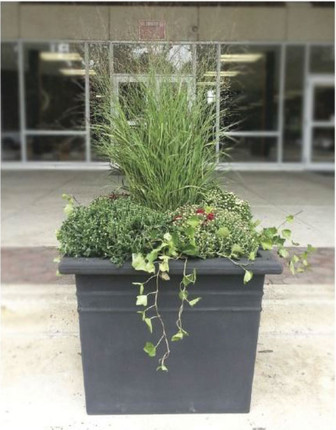 Rolled Rim Square Planter 