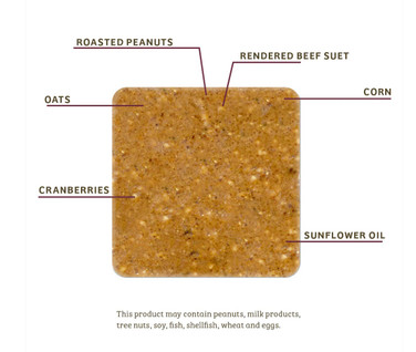 Bugs & Nuts No Melt Suet