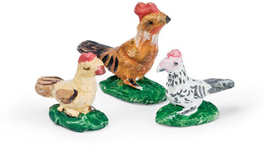 Miniature chickens & rooster