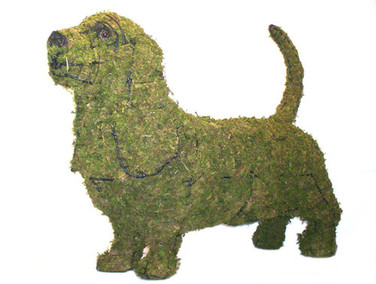 Basset Hound Dog Topiary Mossed
