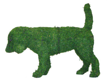 Beagle Topiary Mossed