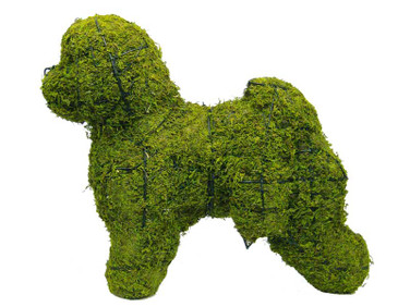 Bichon Frise Mossed Topiary form