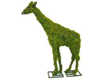 Giraffe Topiary Mossed