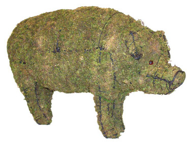 Mossed Pig Topiary